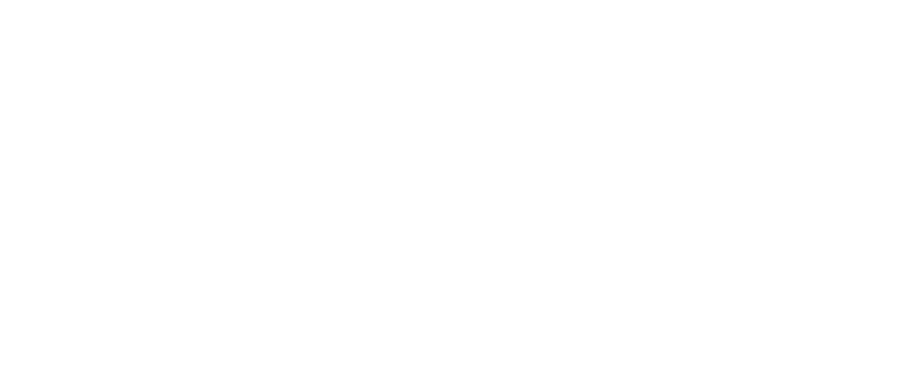 Digipower X